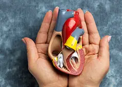 Kidney or Liver Disorders